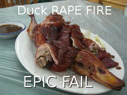 duck-rape-epic-fail Photo by avlxyz (who in no way endorses my ideas) used under the Creative Commons License