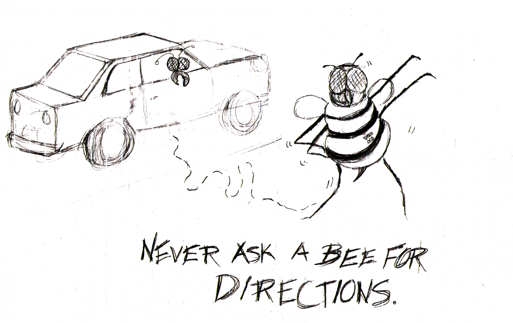 Never Ask A Bee For Directions Never Ask A Bee For Directions